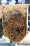 Construction d'une ruche en forme de cheminée dite "boisseau". Download?action=showthumb&id=281